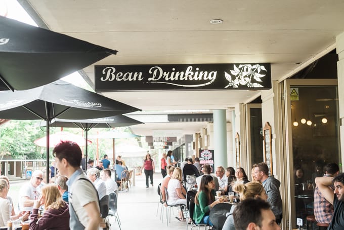 Bean Drinking Cafe Crows Nest
