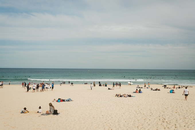 Bondi Beach is also home to Parida